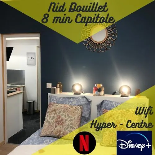 Апартаменты Nid Douillet - 8 Min Capitole Тулуза